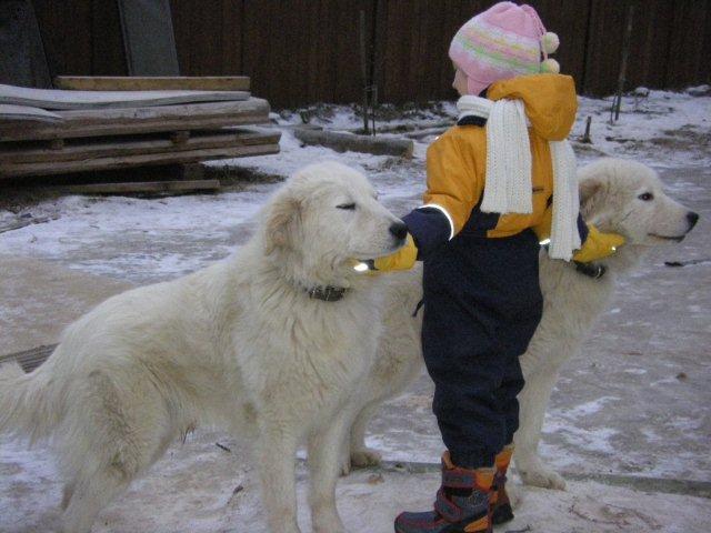 Послушание должно быть безусловным.